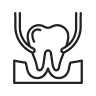 Oral and Maxillofacial Surgery